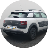 longo_svea_citroen_cactus