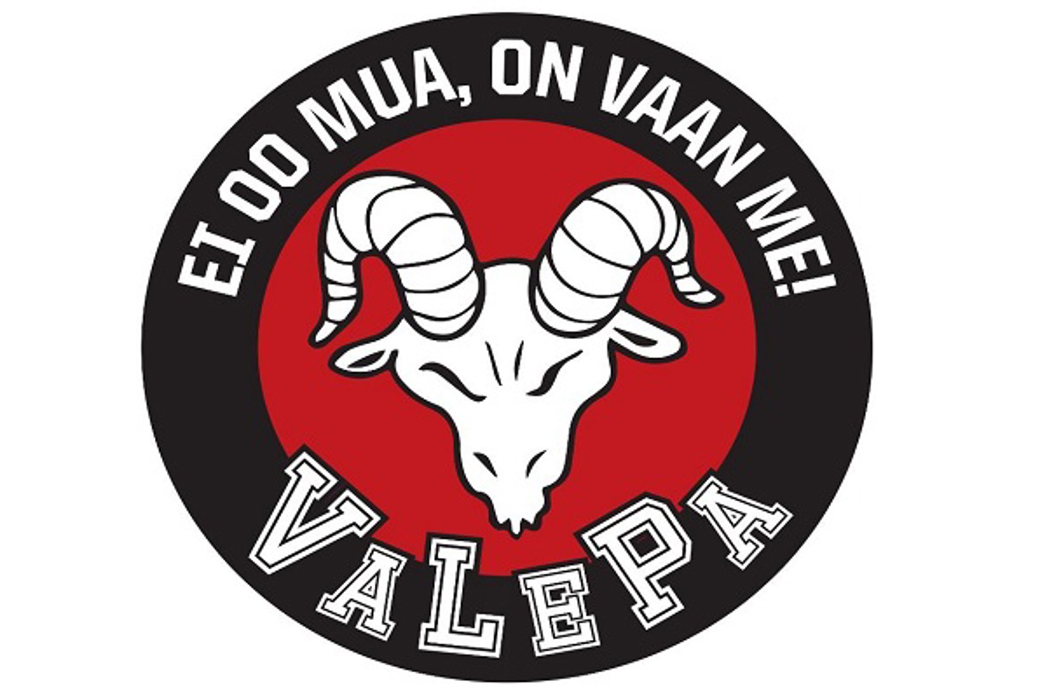 Valepa yhteistyö