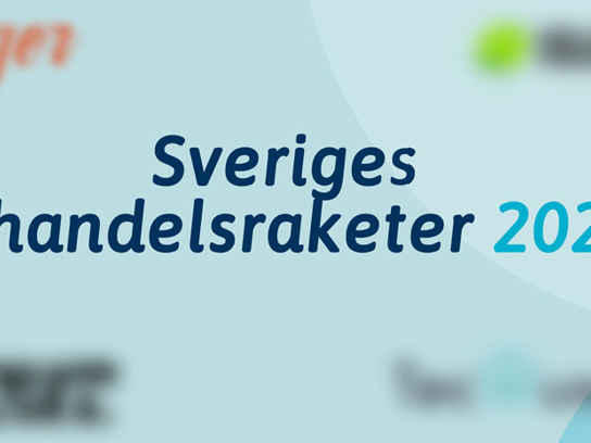 Illustration med texten Sveriges E-handelsraketer