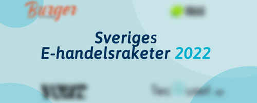 Illustration med texten Sveriges E-handelsraketer