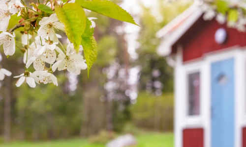 Fritidshus med vårblommor