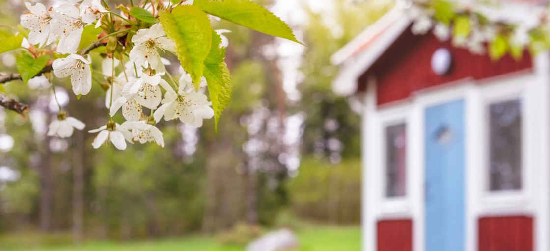 Fritidshus med vårblommor