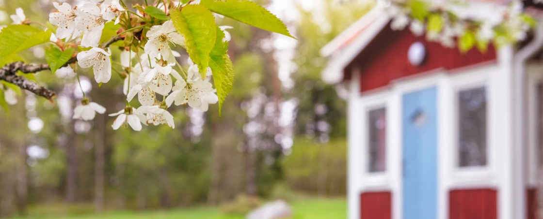 Fritidshus med vårblommor