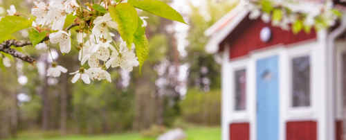 Fritidshus med vårblommor