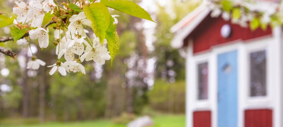 Fritidshus med vårblommor