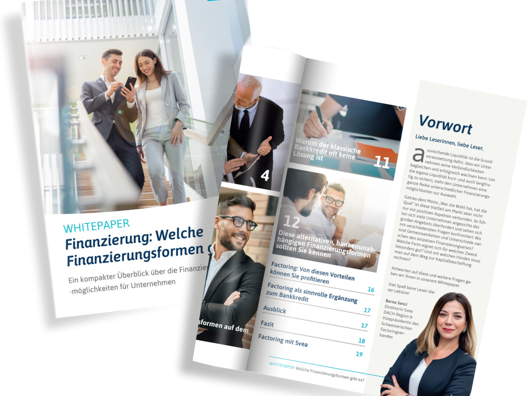 Whitepaper Finanzierungsformen